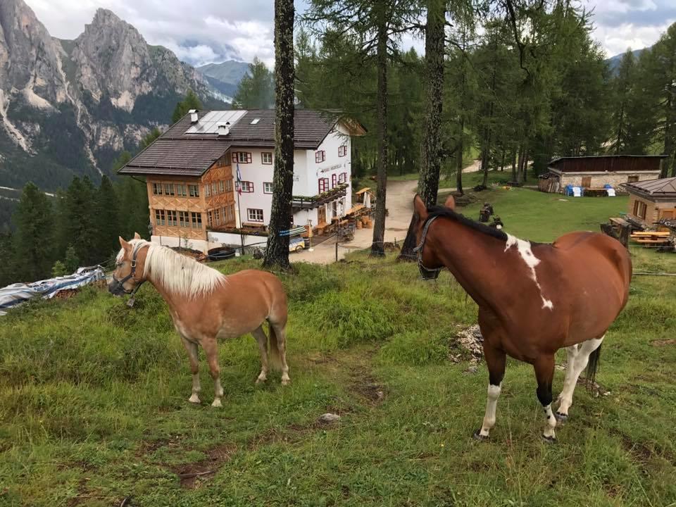 Rifugio Negritella Hotell Pozza di Fassa Eksteriør bilde