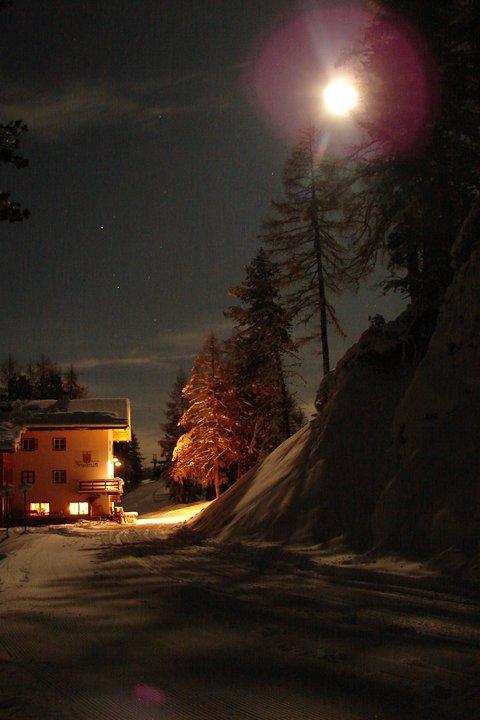Rifugio Negritella Hotell Pozza di Fassa Eksteriør bilde